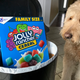 Image for article titled I Tried More Weird Cereals So You Don't Have To